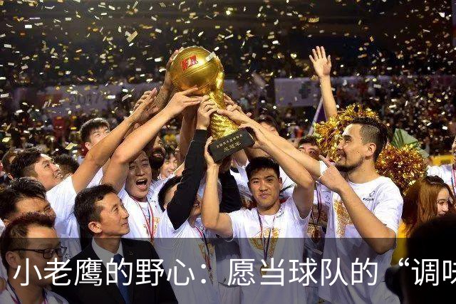 小老鹰的野心：愿当球队的“调味剂