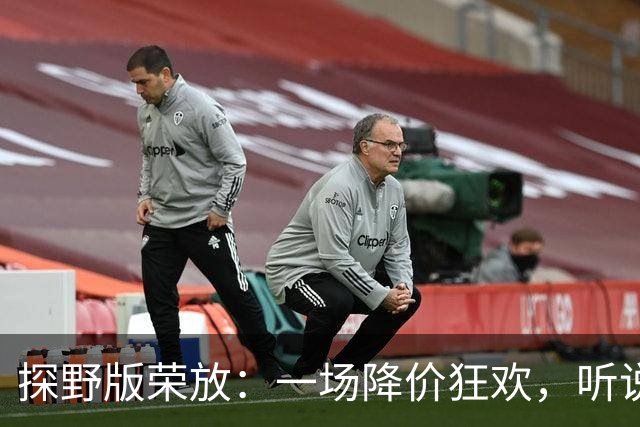 探野版荣放：一场降价狂欢，听说音响也在跳舞！